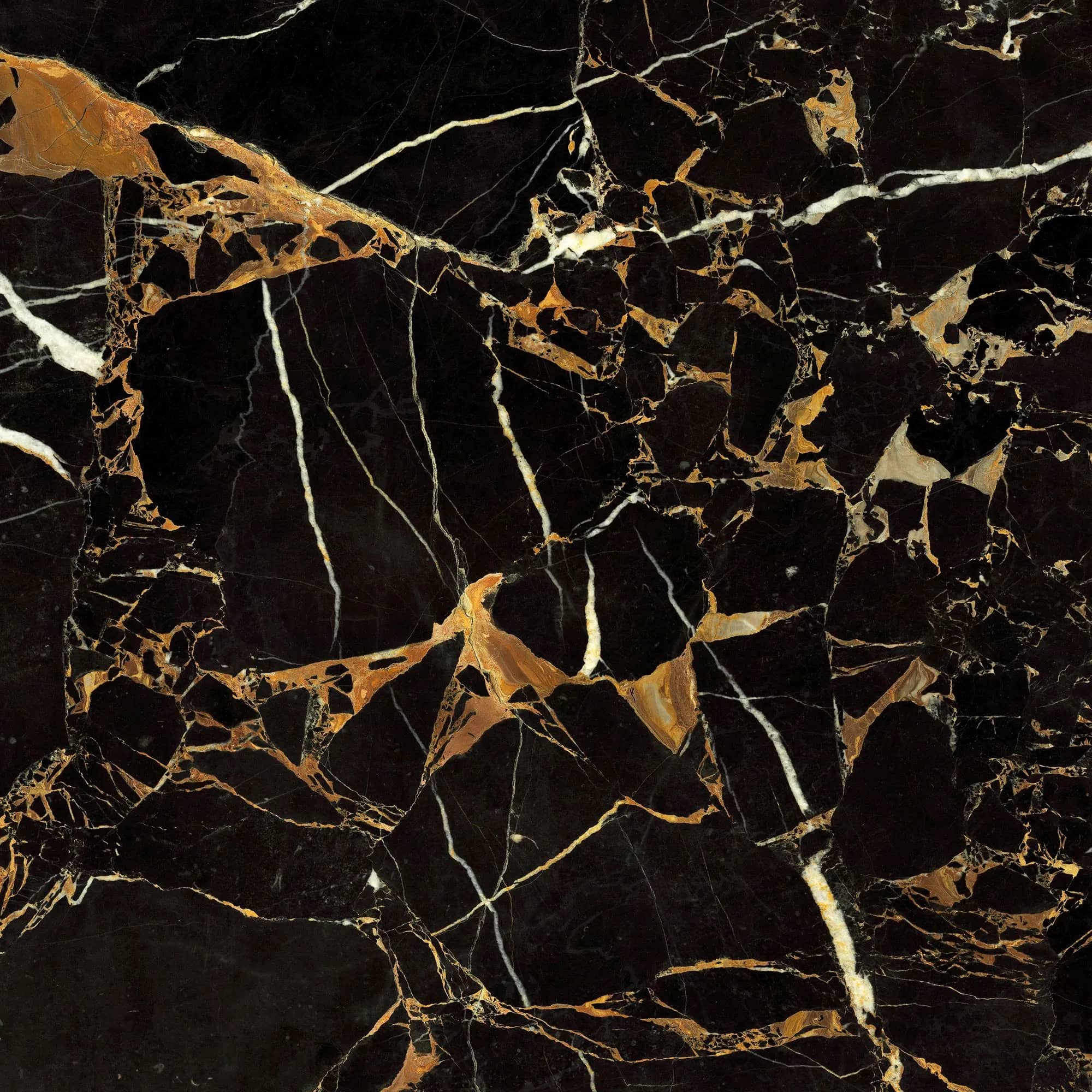 Плитка Saint Laurent чорний 600x600x8 - 127847