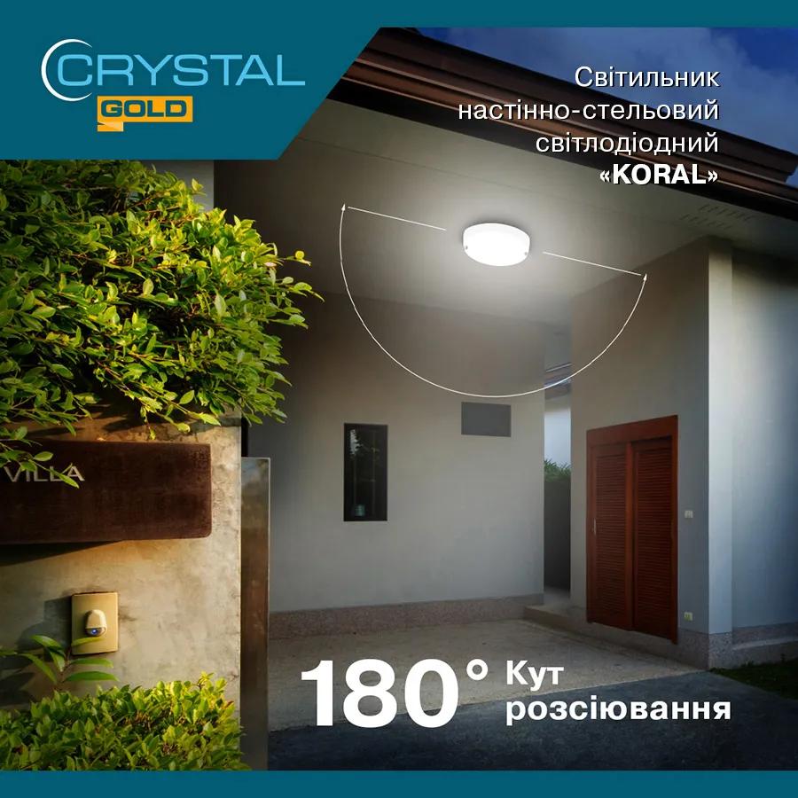Світильник світлодіодний CRYSTAL GOLD KORAL 20W 6500K IP54 (DNL-031) - 192556