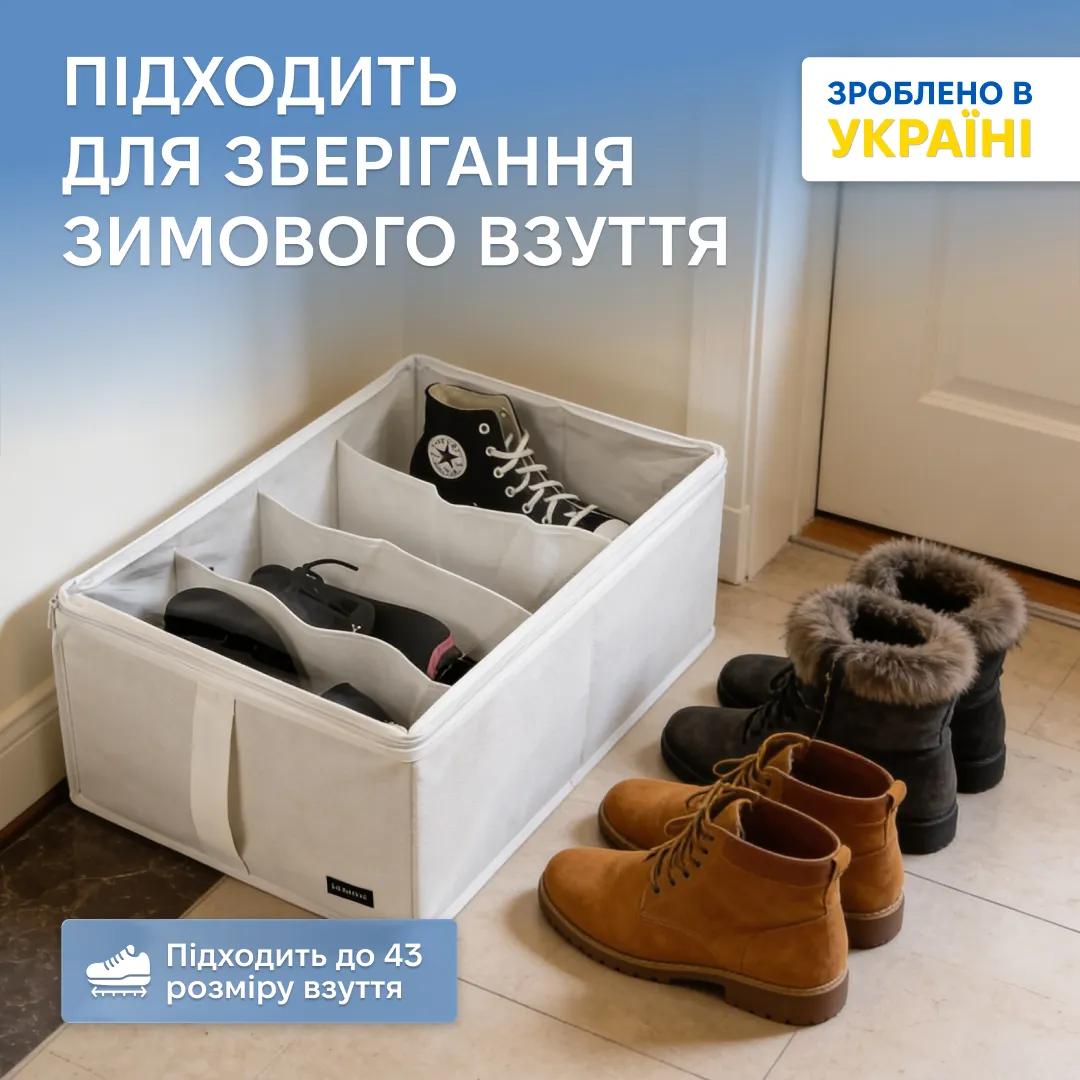 Органайзер ORGANIZE для зберігання демісезонного взуття до 42 розміру на 4 пари 48*34*20 см (білий) - 229752