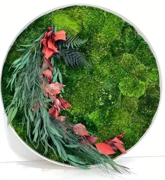 Кругла картина з моху та рослин - 80 см - 215811567