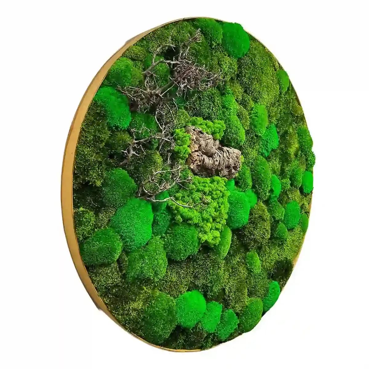 Кругла картина з моху та деревом - 130 см - 686587383
