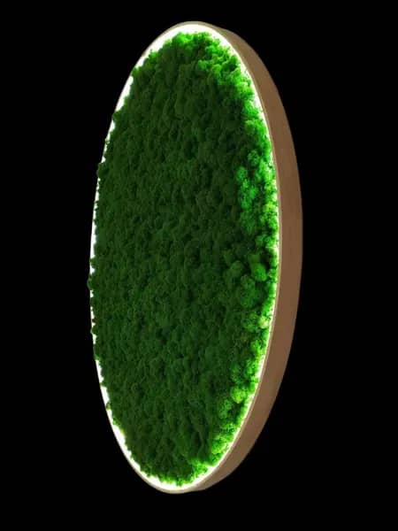 Кругла картина з ісландського моху та підсвіткою - 60 см, Вбудований акамулятор - 884168007
