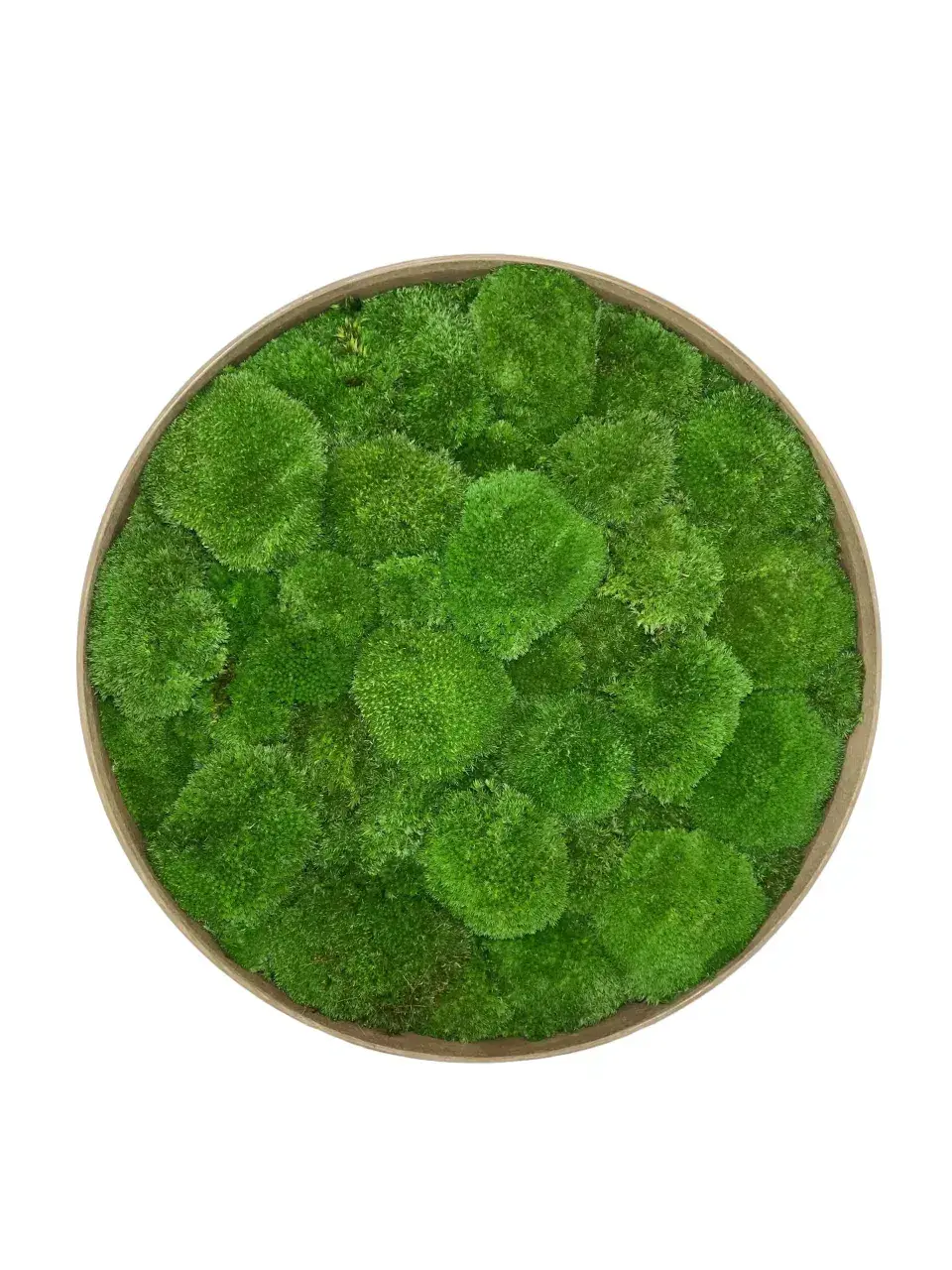 Кругла Картина з Моху Купина (Кочка) - 80 см - 161755774