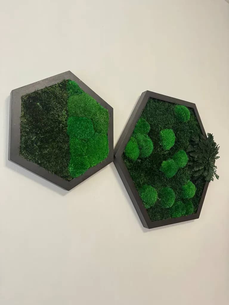 Шестикутна мохова картина з кульковим та прованським мохом - 30 см - 631676976