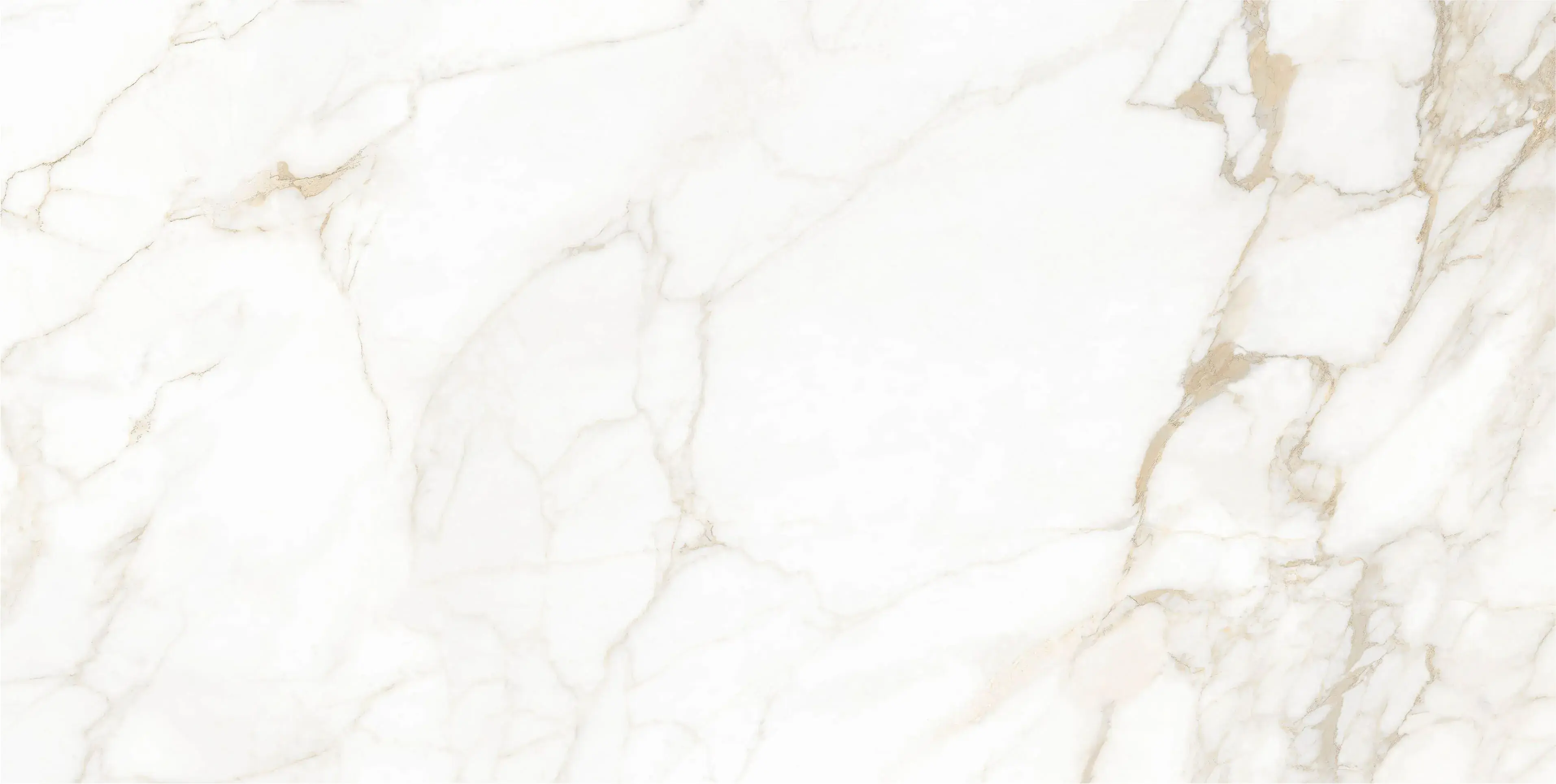 Плитка Imperial білий 1200x600x8 - 329801
