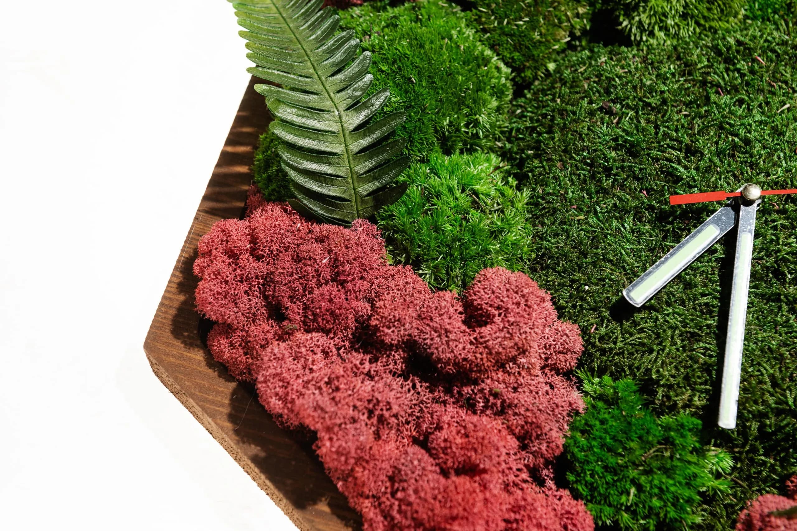 Годинники з мохом кочка , плаский мох та ягель - 40 см - 382091