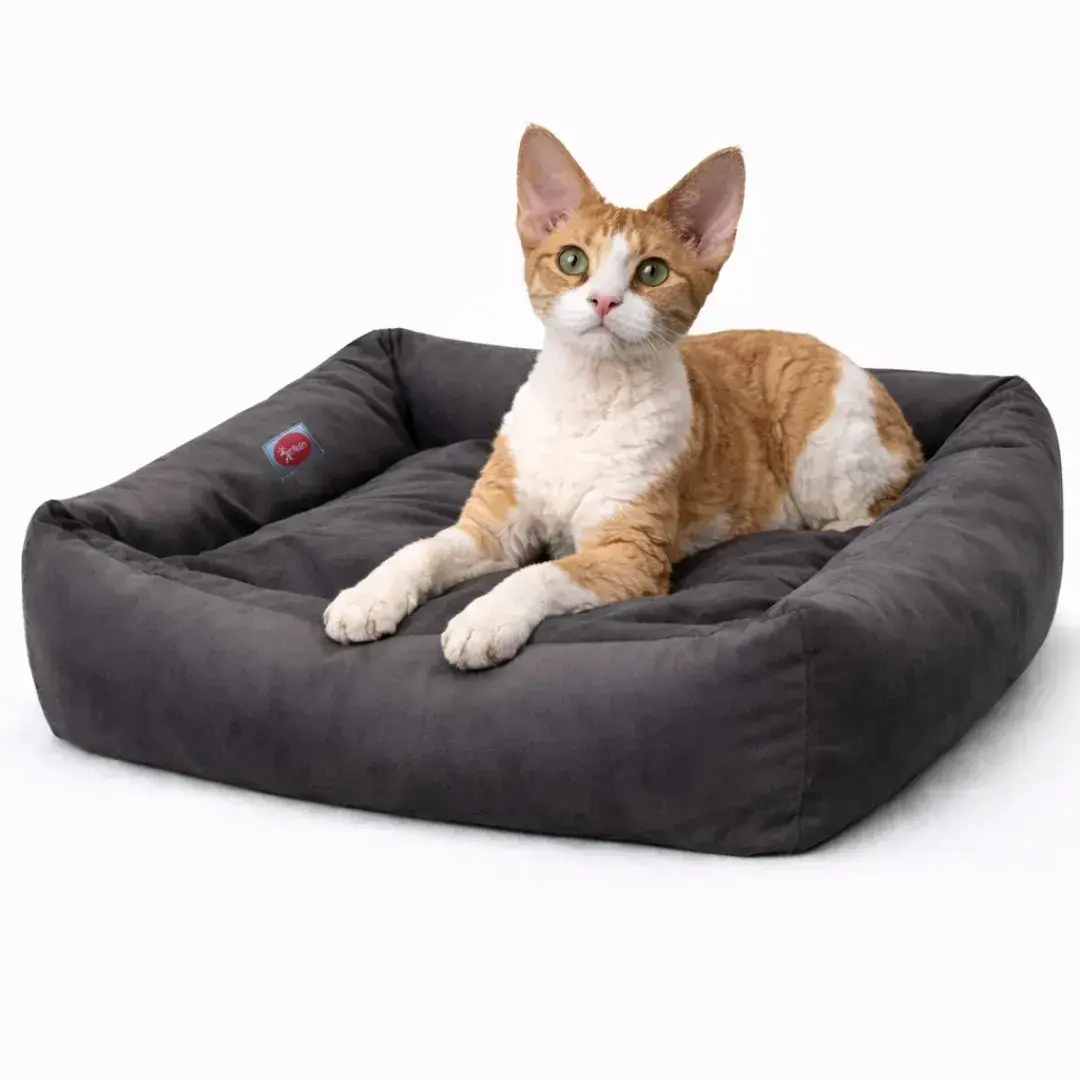 Лежак для животных DIEGO rest lux 1/2 50*35 серый - 412079