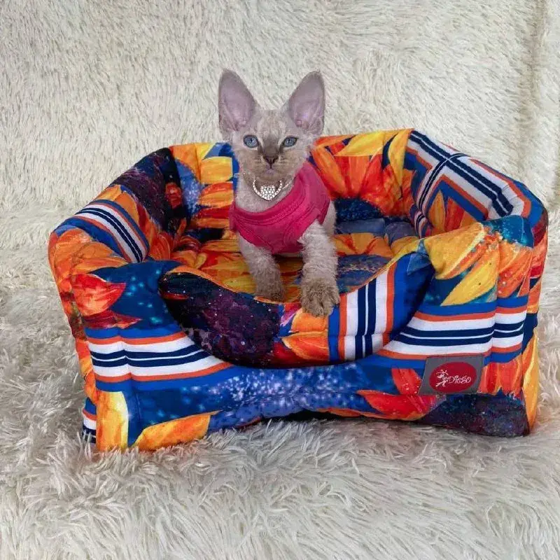 Лежак для тварин DIEGO rest transformer print_16_Соняшник (38*38*32) - 412155