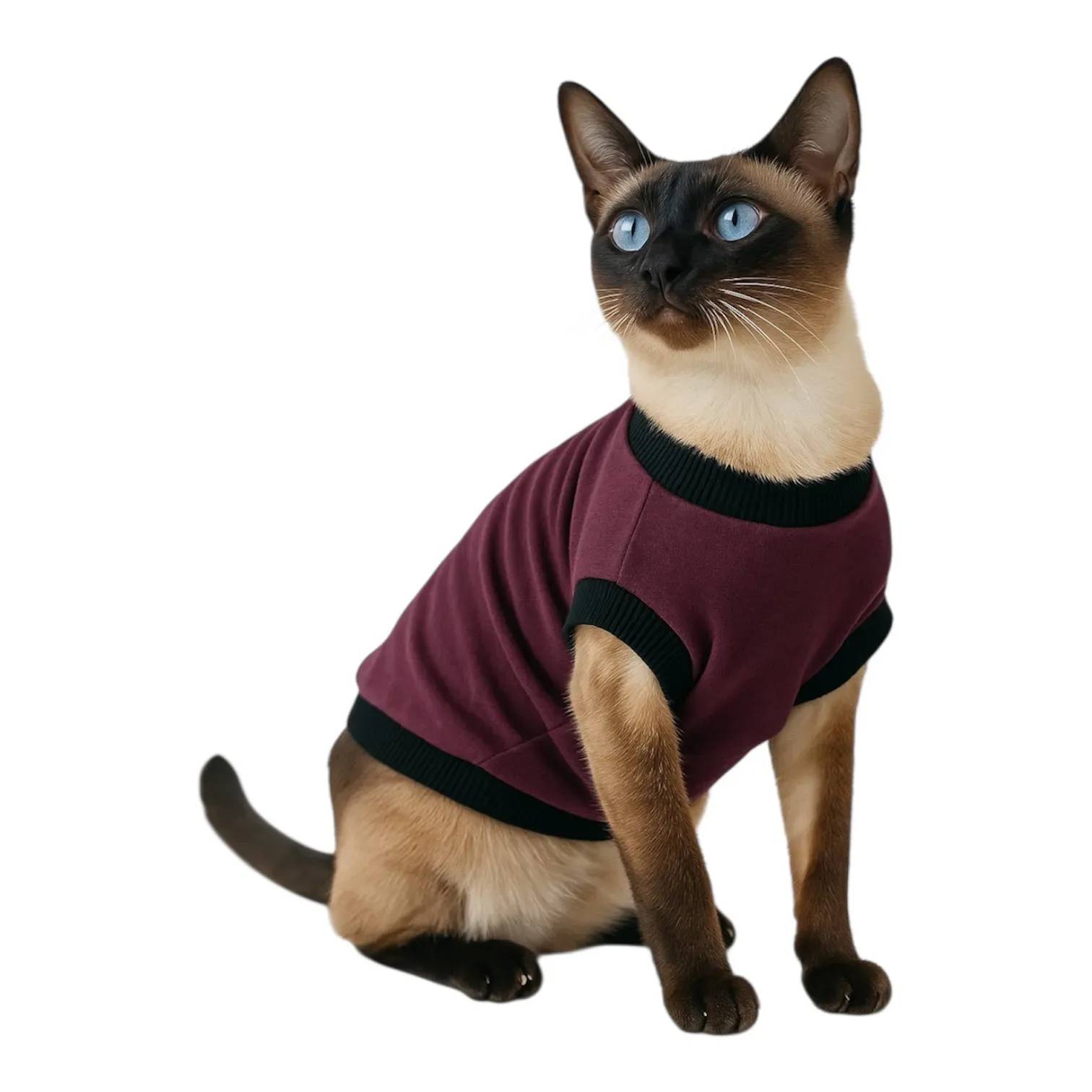 Кофта для котів DIEGO "Бордо" - 4-розмір - 417488