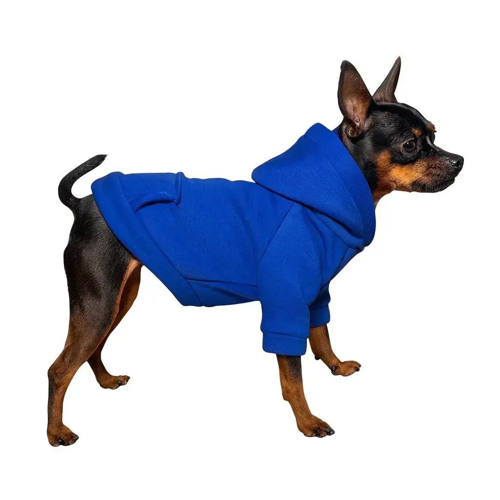 Кофта для собак DIEGO hoodie утеплена електрик XS - 417523