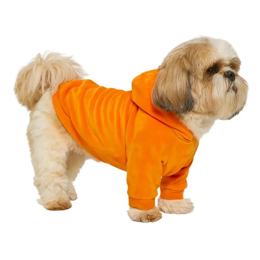 Свитер для собак DIEGO hoodie print 4 оранжевый XL - 417534
