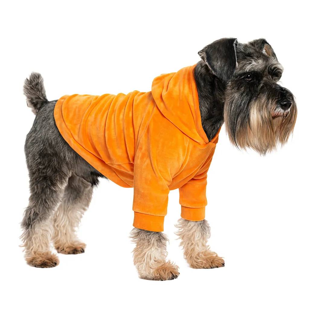 Кофта для собак DIEGO hoodie print 4 помаранчевий XXL - 417535