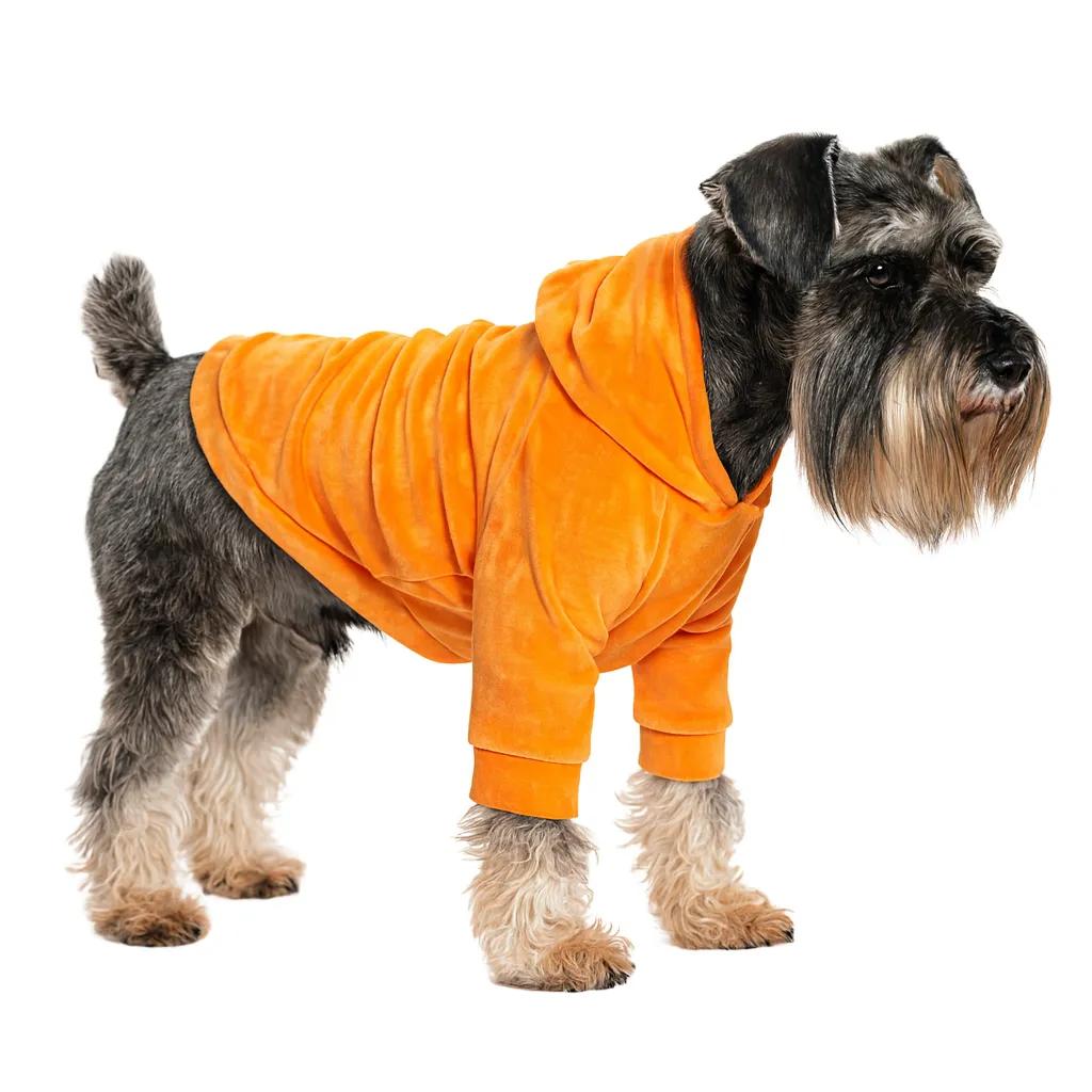 Кофта для собак DIEGO hoodie print 4 помаранчевий XXL - 417535