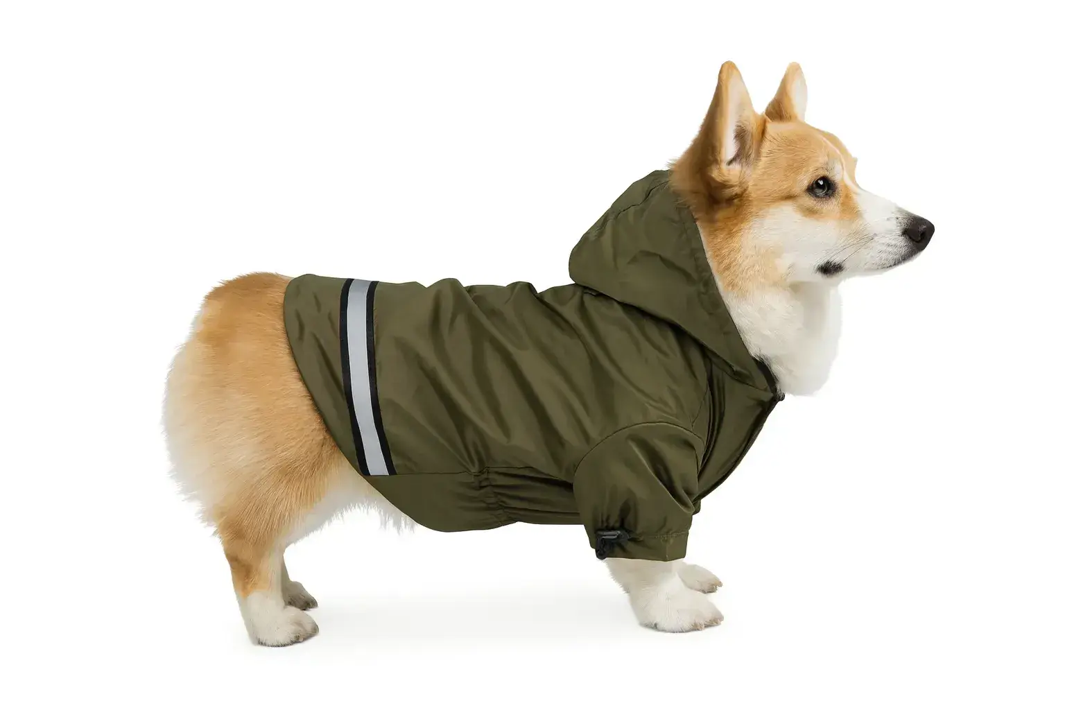 Куртка для собак DIEGO jacket XL/2 хакі - 417556