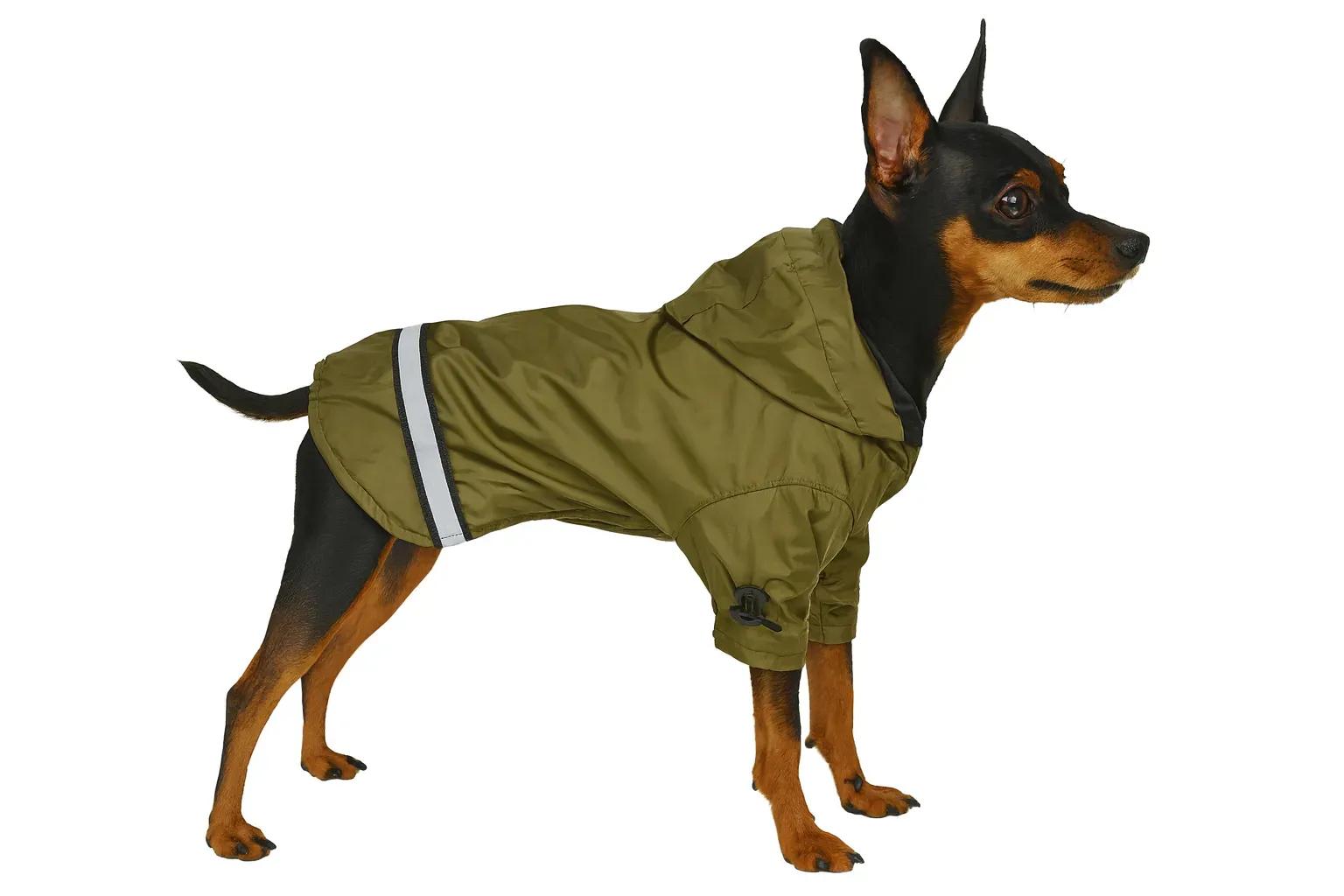 Куртка для собак DIEGO jacket XS/2 хаки - 417561