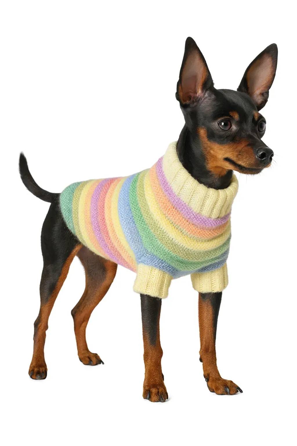 Светр для тварин sweater XS світла смужка - 417972