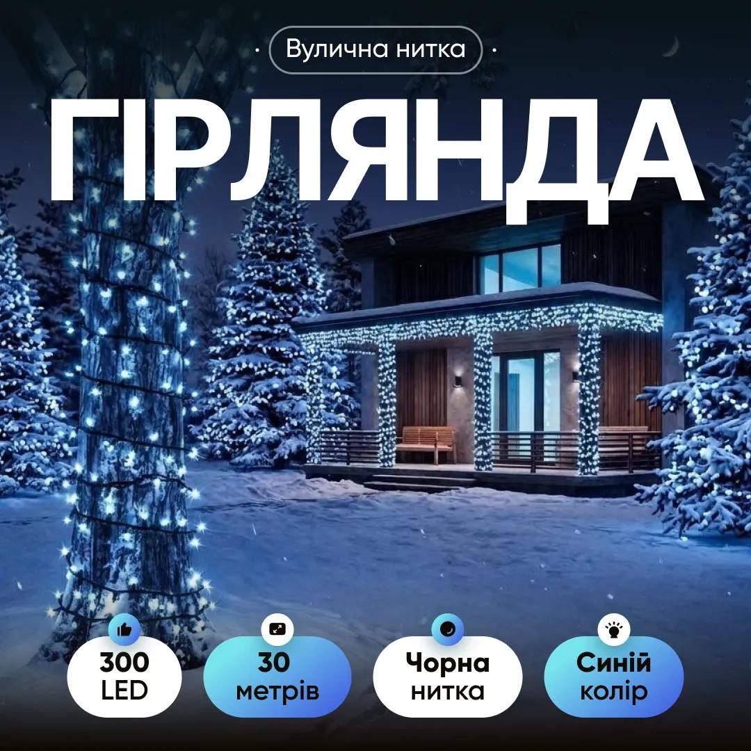 Гірлянда Нитка вулична 300 LED 30 м від мережі чорна нитка, синій - 564924